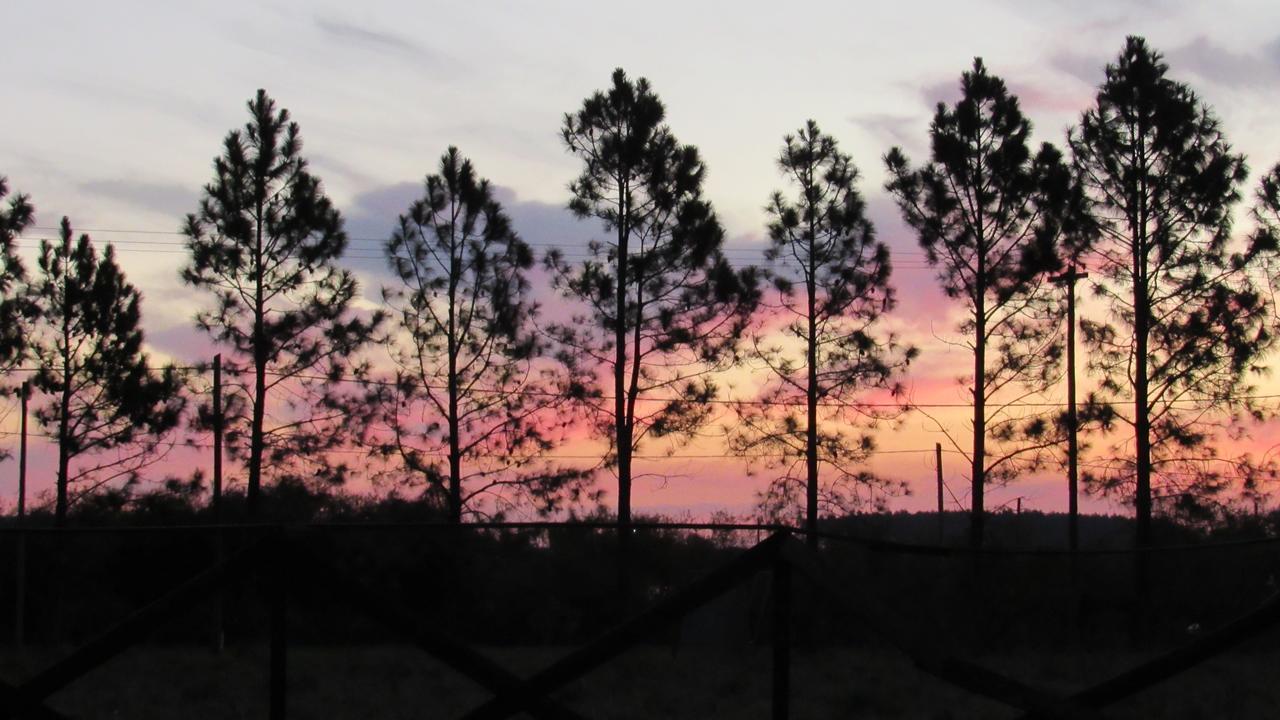 La Sonada Aparthotel Federacion Bagian luar foto
